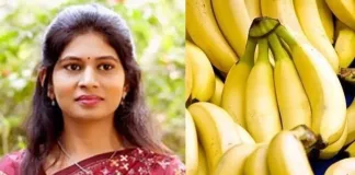 raksha khadse banana export