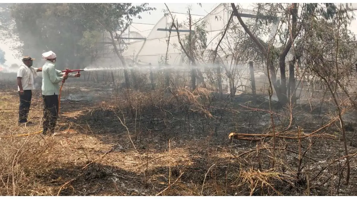 tarsod farmer fire
