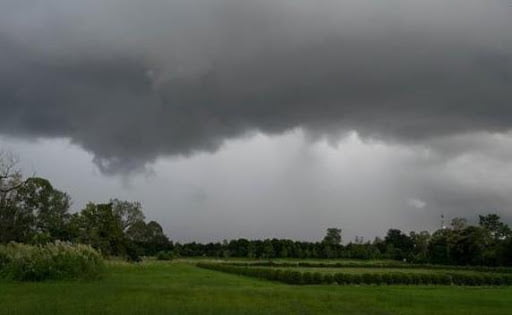 weather