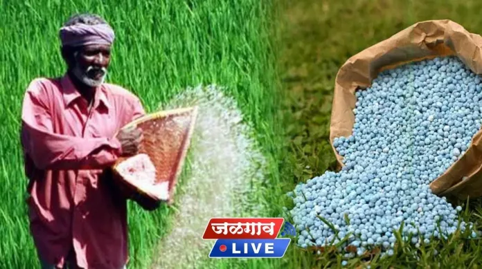 dap fertilizer rate