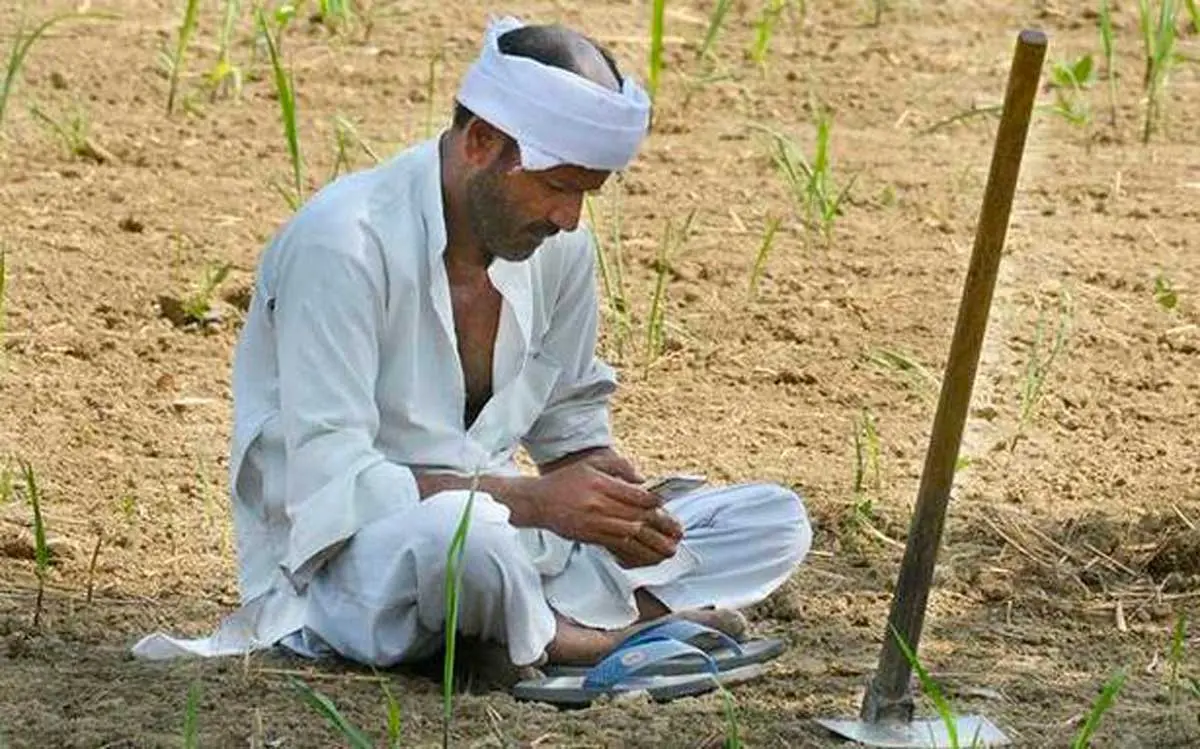 farmer