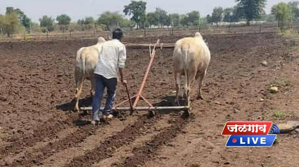 farmer