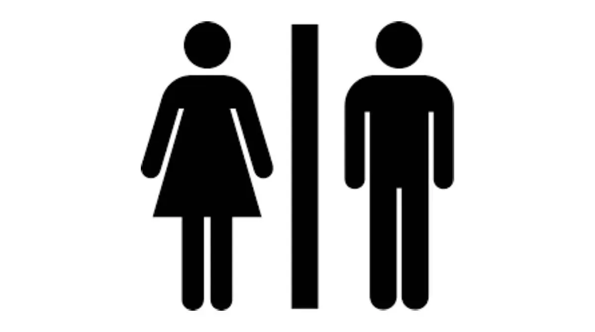 toilet jpg webp toilet jpg webp
