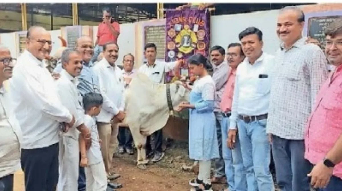 cow school jpg webp cow school jpg webp