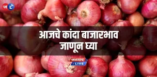 kanda-bajarbhav-onion-market-rate