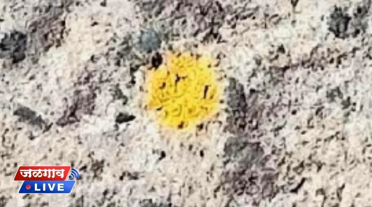 yellow patch yellow patch