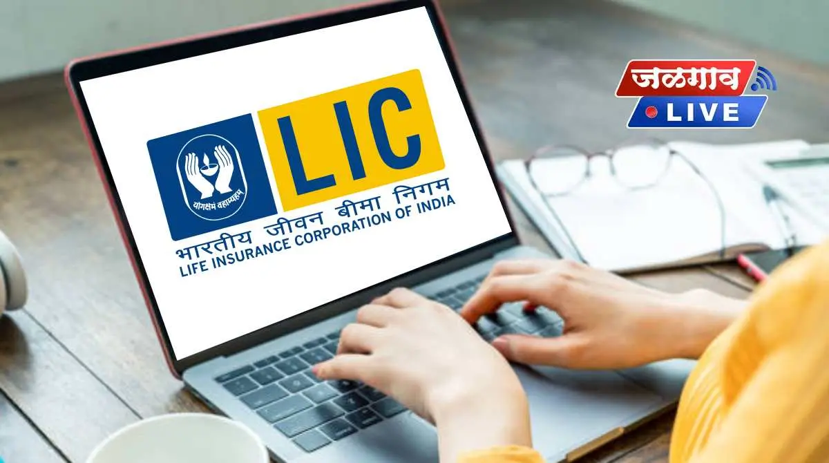 lic online status