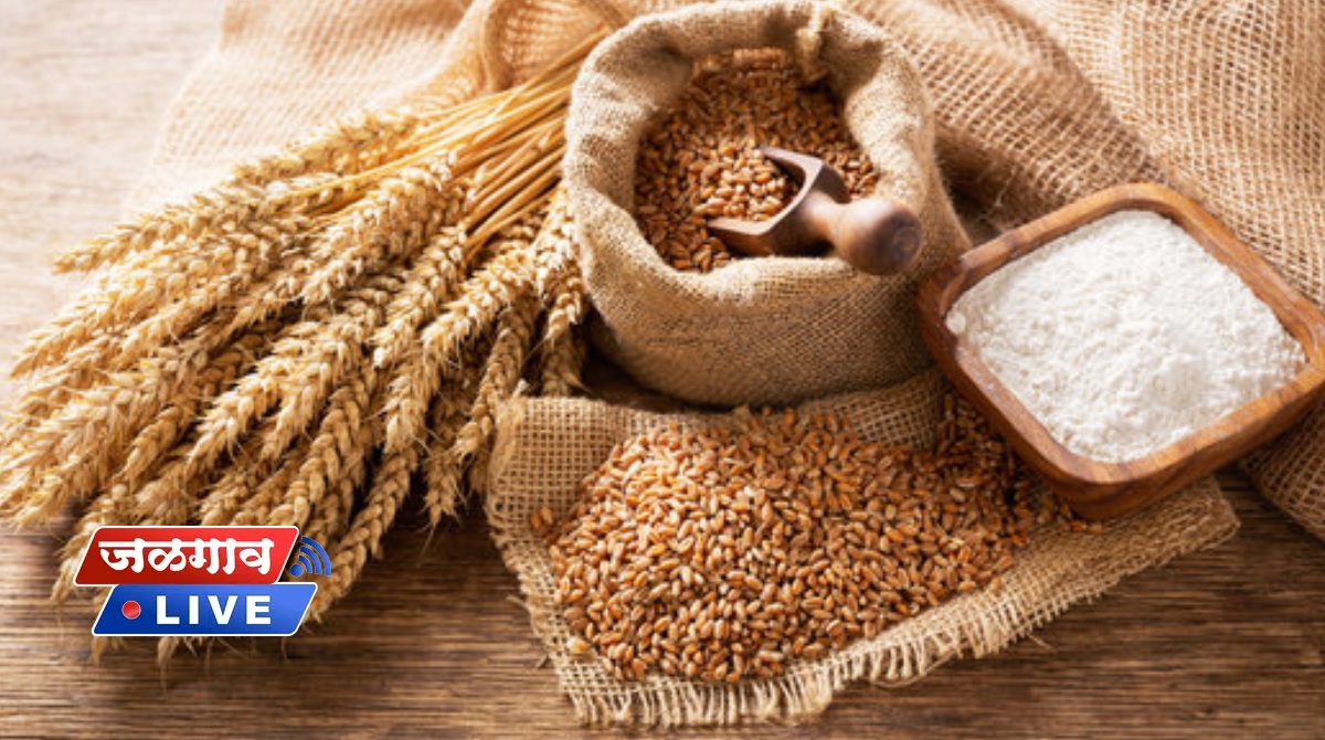 wheat
