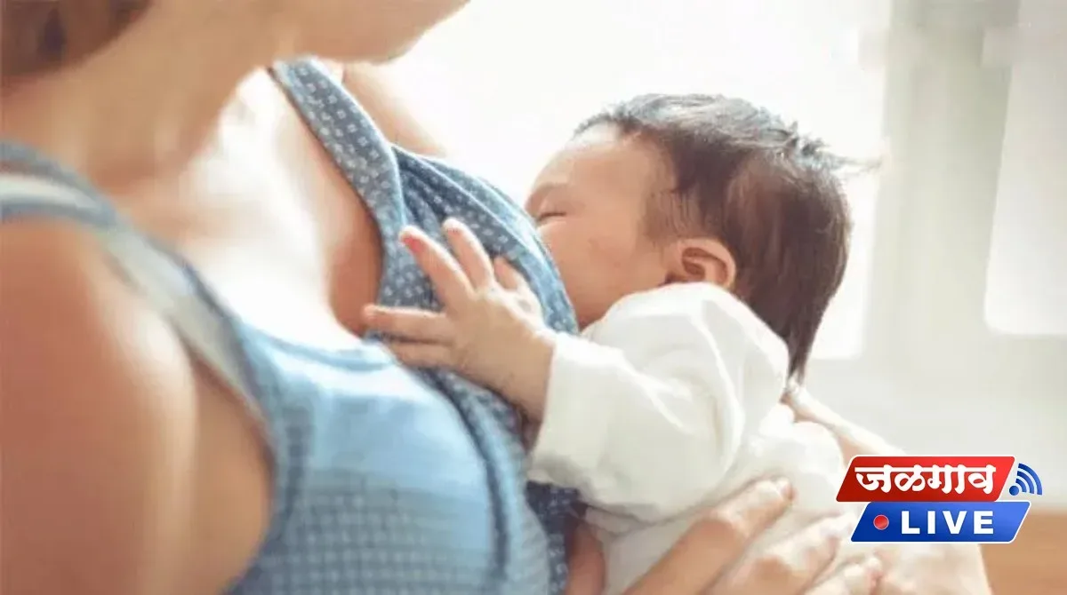 आईच्या दूधात आढळलं 'मायक्रोप्लास्टिक', धक्कादायक माहिती समोर 1 mother milk jpg webp