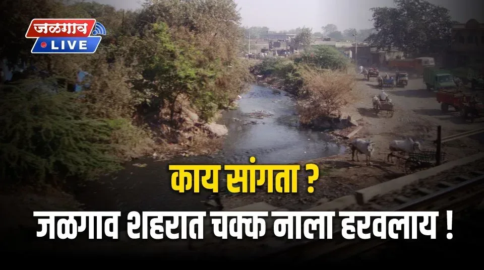 lendi nala jalgaon jpg webp webp lendi nala jalgaon jpg webp webp
