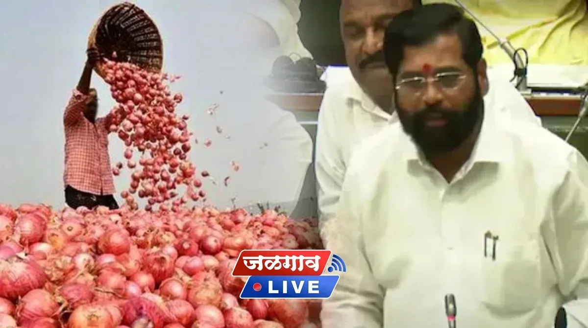 eknath shinde onion farmers jpg webp webp eknath shinde onion farmers jpg webp webp
