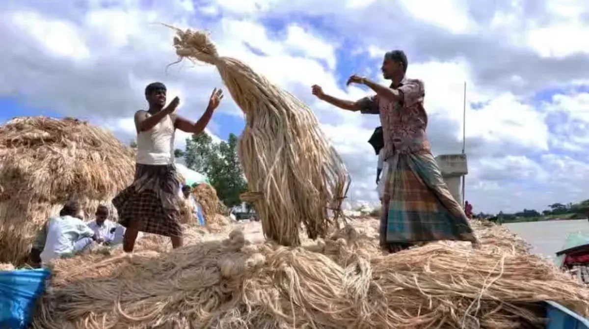 farmer jpg webp webp farmer jpg webp webp