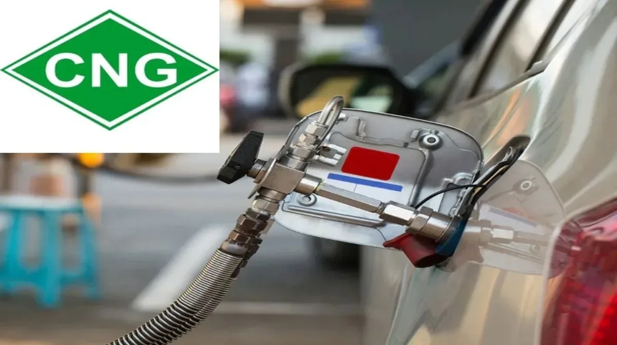 cng jpg webp webp