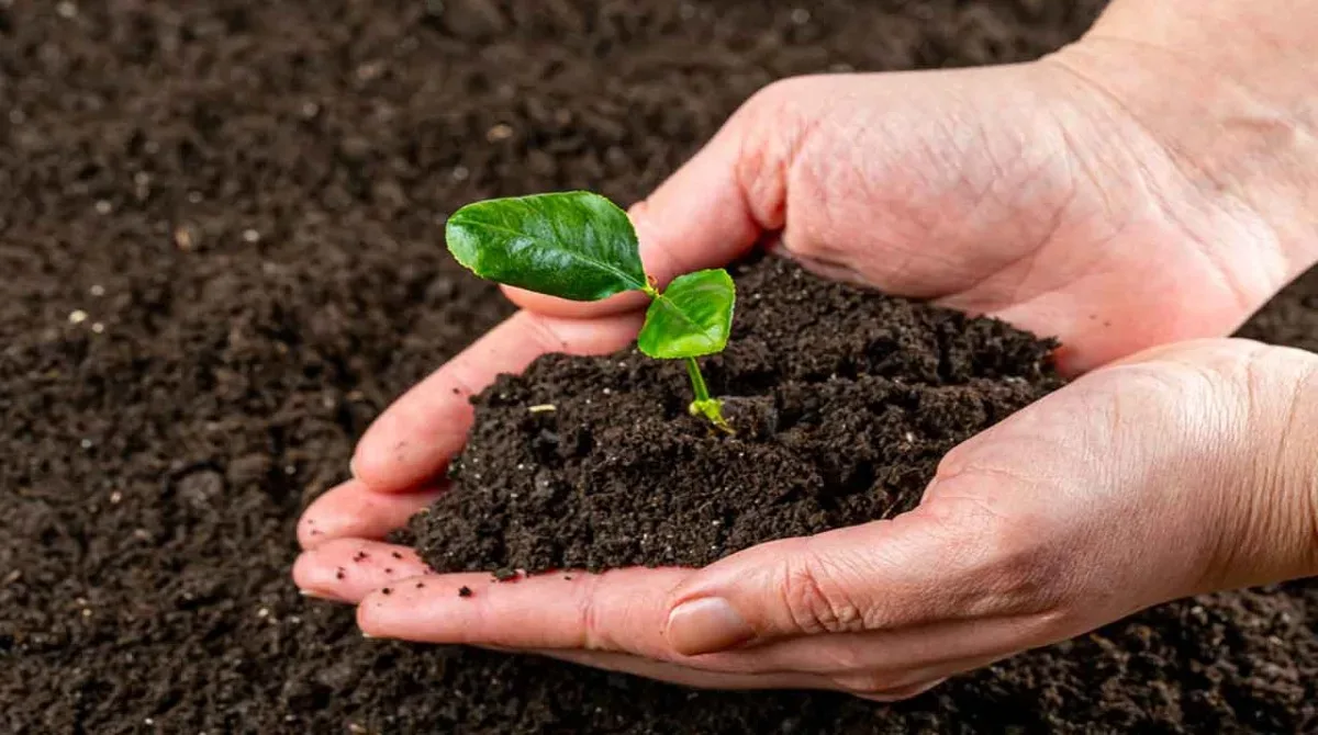 farmer mati parikshan jpg webp