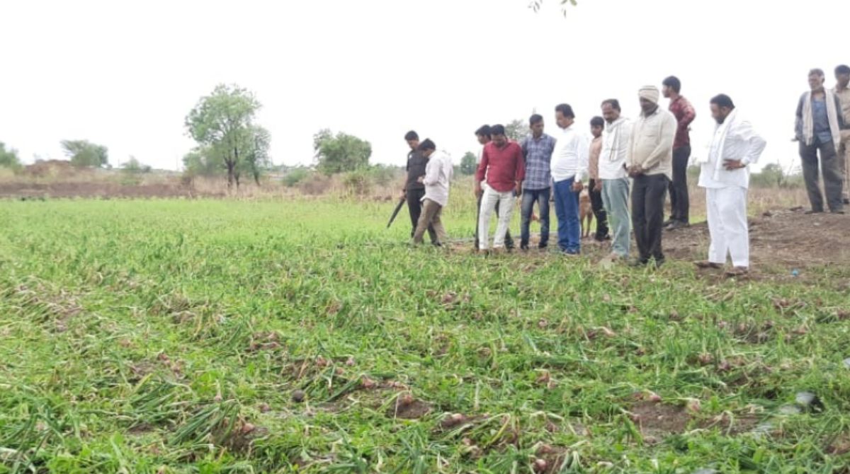 muktainagar chandrakant patil
