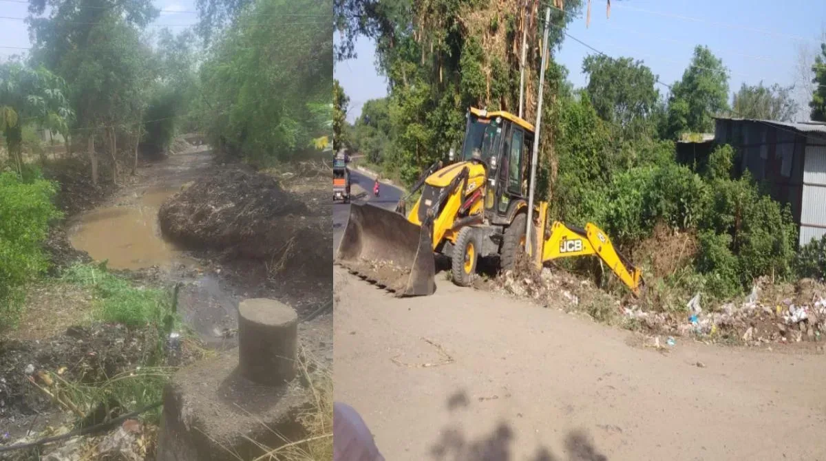 chitoda nalesafai jpg webp webp