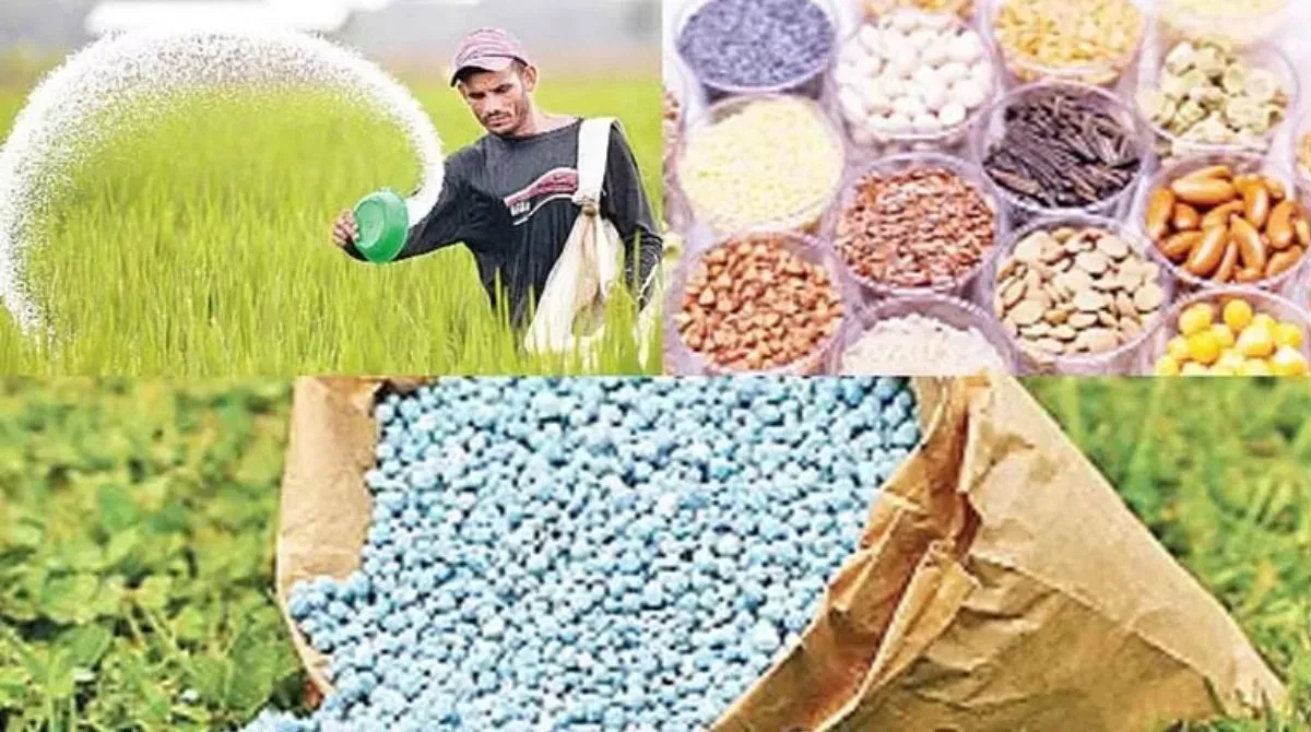 bogas biyne jpg webp webp bogas biyne jpg webp webp