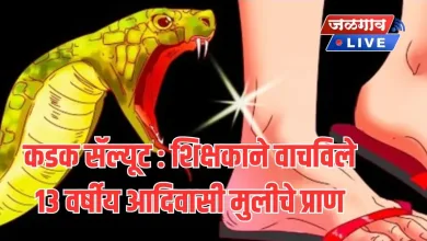 snake bite jpg webp