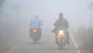 जळगावात किमान तापमानात घट; थंडीचा गारठा वाढला 5 tapman thandi jpg webp