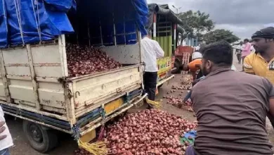 onion jpg webp