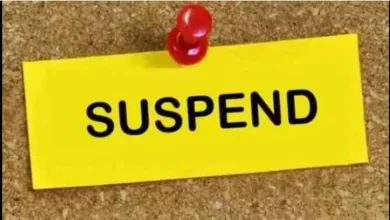 पाचोऱ्याचा तहसीलदार निलंबित ; महसूल विभागात खळबळ, नेमकं प्रकरण काय? 9 suspend jpg webp