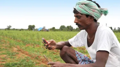 farmer 3 jpg webp