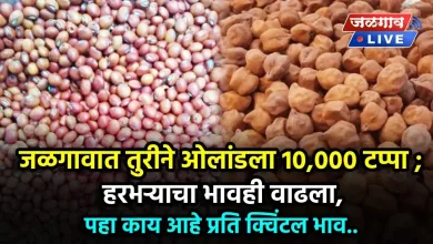 जळगावात तुरीने ओलांडला 10,000 टप्पा ; हरभऱ्याचा भावही वाढला ; पहा काय आहे प्रति क्विंटल भाव.. 4 tur harbhara rate jalgaon jpg webp