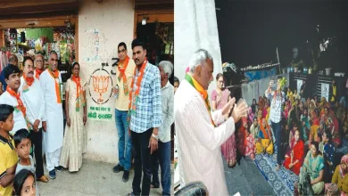 BJP Gaon Chalo campaign jpg webp