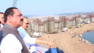 padalse project jpg webp