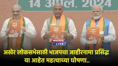 BJP manifesto 1 jpg webp