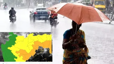 rain update jpg webp
