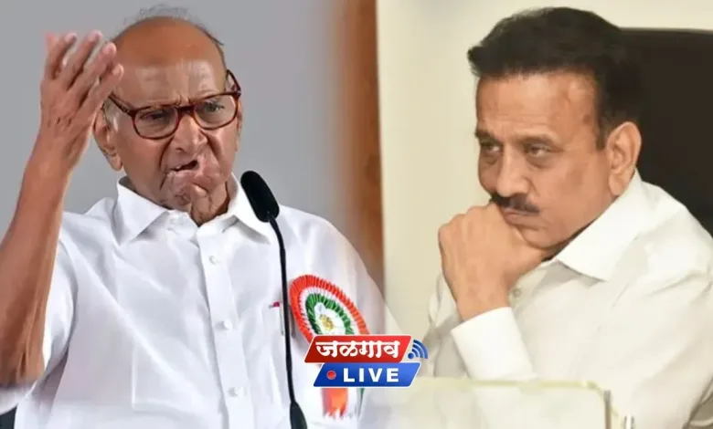 शरद पवारांचं गिरीश महाजनांबाबत खळबळजनक विधान, नेमकं काय म्हणाले वाचा.. 1 sharad pawar girish mahajan jpg webp