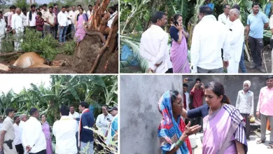 bodvad rohini khadse jpg webp