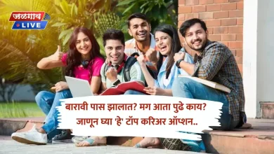 12वी पास झालात, आता पुढे काय? जाणून घ्या ‘हे’ टॉप करिअर ऑप्शन.. 8 career option jpg webp
