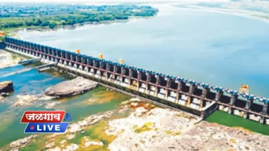 hatnur dam jpg webp