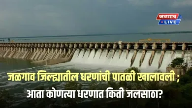 jalgaon disctrict dam jpg webp