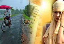 rain tapman jpg webp