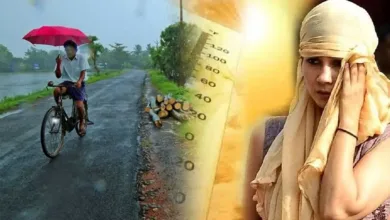rain tapman jpg webp