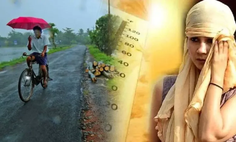 जळगावात पावसाला ब्रेक! सप्टेंबरमध्येच ‘ऑक्टोबर हिट’चा तडाखा, तापमानाचा पारा वाढणार? 1 rain tapman jpg webp
