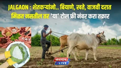 Jalgaon : शेतकऱ्यांनो.. बियाणे, खते, वाजवी दरात मिळत नसतील तर 'या' टोल फ्री नंबर करा तक्रार 7 seed fertilizer jpg webp