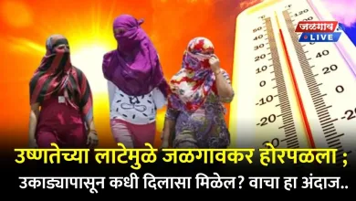 tapman jalgaon jpg webp