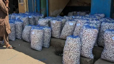 बोंबला ! लसणाने गाठला दरवाढीचा कळस, आताचा प्रति किलोचा भाव वाचा? 9 Add a subheading 2 jpg webp