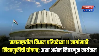 Legislative Counci election jpg webp