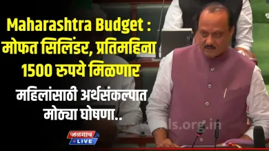 MH budget 2024 jpg webp