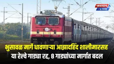 भुसावळ मार्गे धावणाऱ्या आझादहिंद शालीमारसह या रेल्वे गाड्या रद्द, ८ गाड्यांच्या मार्गात बदल 4 TR jpg webp