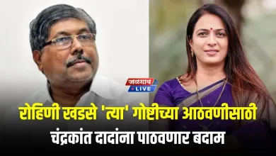 khadse patil2 jpg webp