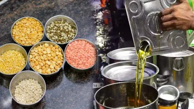 oilDal