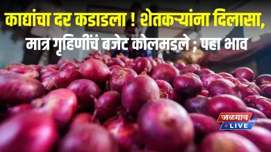 काद्यांचा दर कडाडला ! शेतकऱ्यांना दिलासा, मात्र गृहिणींचं बजेट कोलमडले ; पहा भाव 7 onion jpg webp