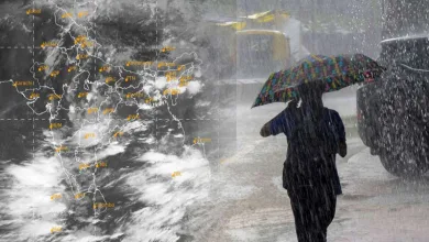 raintoday