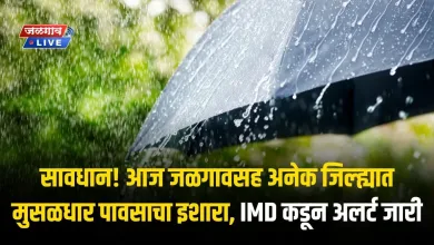 सावधान! आज जळगावसह अनेक जिल्ह्यात मुसळधार पावसाचा इशारा, IMD कडून अलर्ट जारी 2 8july rain jpg webp